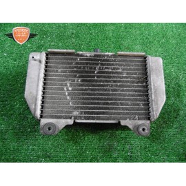 Radiador agua Honda Forza 250 X 2005 2007