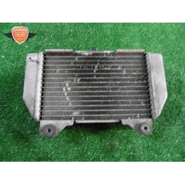 Radiador agua Honda Forza 250 X 2005 2007