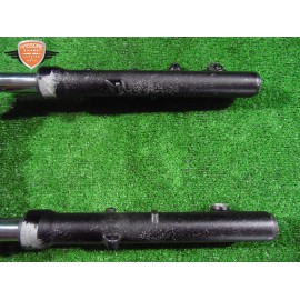 Forcella steli piastre Honda Forza 250 X 2005 2007