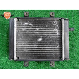 Water cooler Benelli Zenzero 350 2011 2016