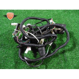 Mazo de cables principal Piaggio Roads Duck 150 2010