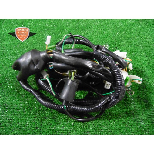 Mazo de cables principal Piaggio Roads Duck 150 2010