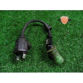 Coil ignition Piaggio Beverly Cruiser 250 2007 2011