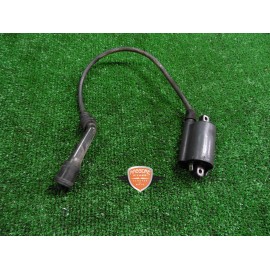 Bobina de encendido Suzuki Burgman 400 2001 2004