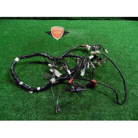 Main wiring harness Kymco Maxxer 50 2015