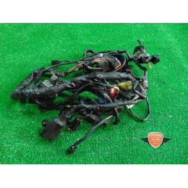 Mazo de cables principal Kawasaki Versys 650 2010 2013