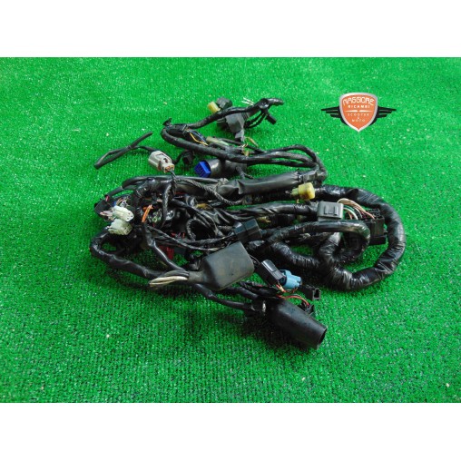 Mazo de cables principal Kawasaki Versys 650 2010 2013