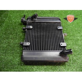 Water cooler Benelli Leoncino 500 ABS 2017 2020