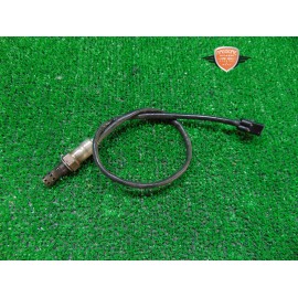 Oxygen sensor Triumph Tiger 800 XRT 2018 2020