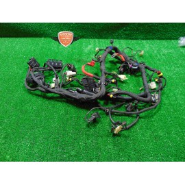 Impianto cablaggio elettrico Benelli TRK 251 2019 2020