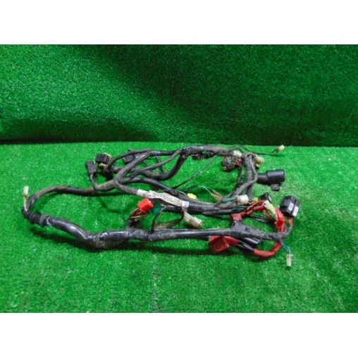 Main wiring harness Kymco People 150 S 2018 2020