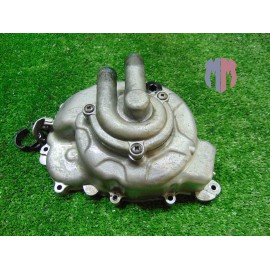 Carter alternador estator Peugeot Geopolis 250 2005 2012