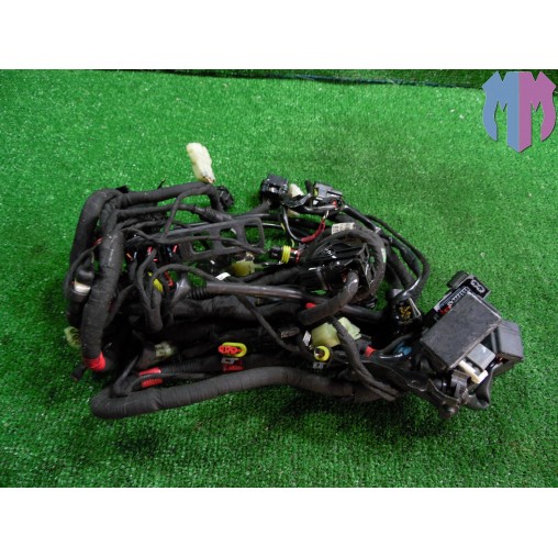 Main wiring harness Ducati Monster 821 Dark ABS 2014 2016