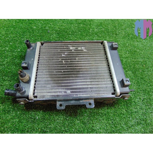 Water cooler Kymco Grand Dink 250 2001 2006