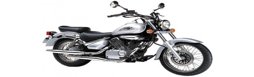 Suzuki Intruder VL 250 LC 1999 2004